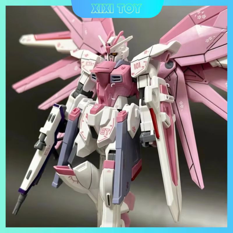 JMS HG 1/144 ZY-06 Freedom Ass - Bandai Model Gundam Hg avis et prix